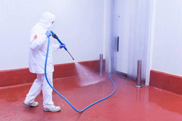 Trusted Fairview, TX Pressure Washing Services Experts